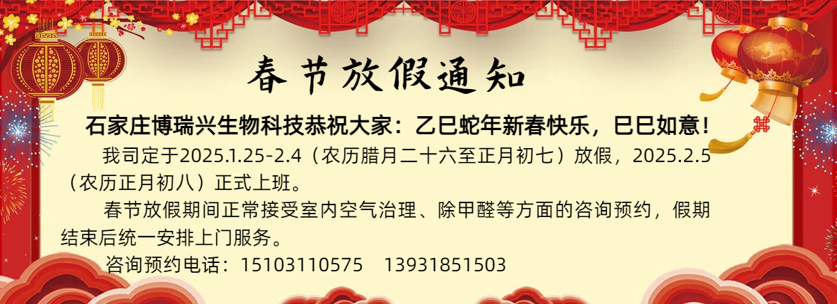 2025年春节放假通知